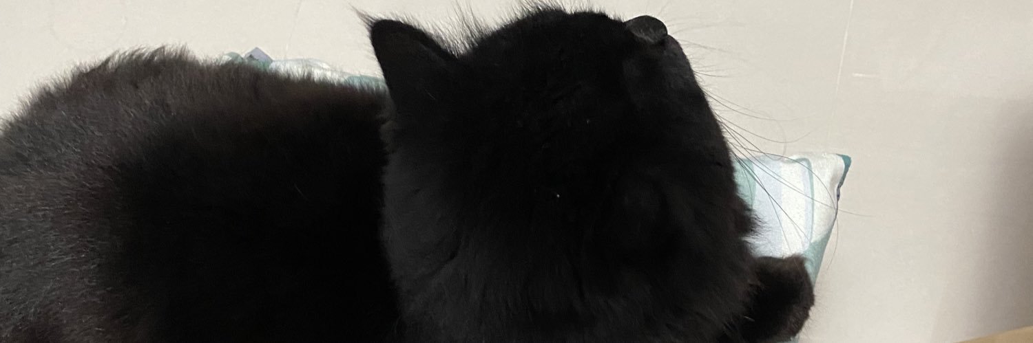 Hzgalaxy's profile banner image