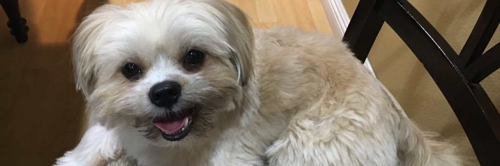 muye16's profile banner image