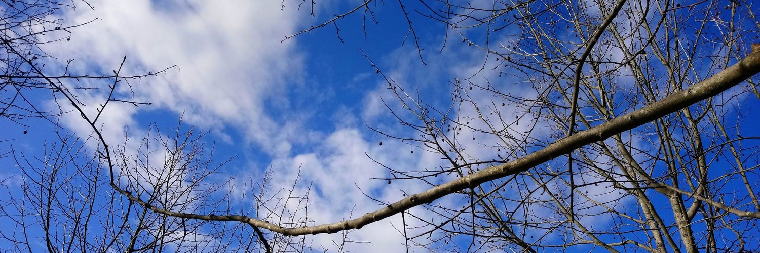 Terry Gibson - Young Soul with a Crooked Spine banner