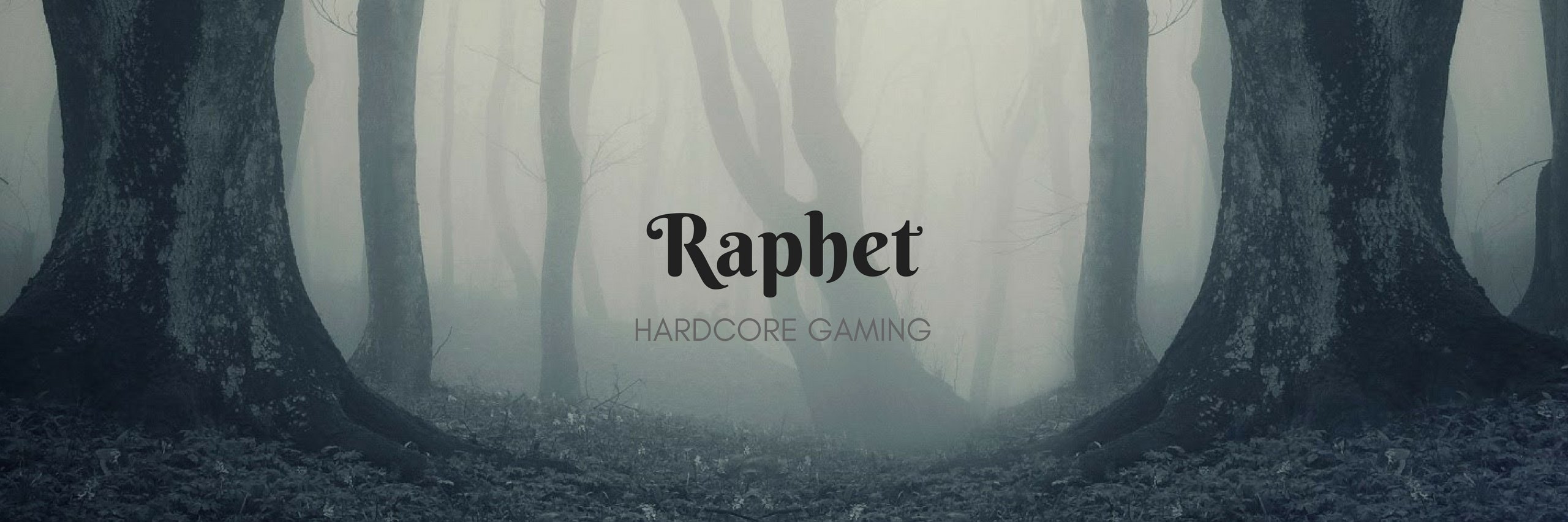RaphetLive's profile banner image