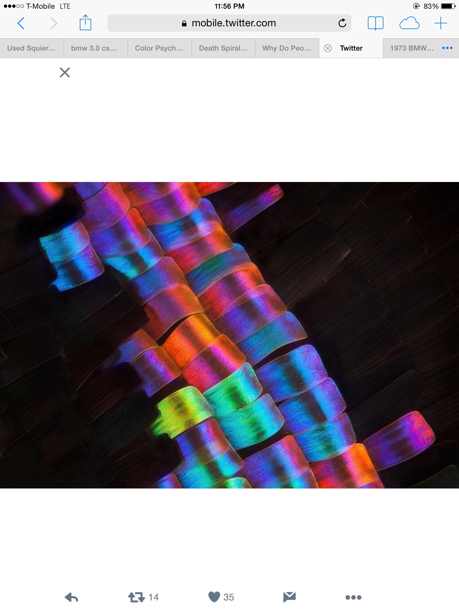 castle_smythe's profile banner image