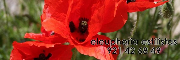 eleuphoria Profile Banner