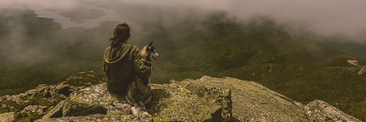 barkingroyalty's profile banner image