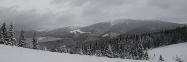 CodeceptJS Profile Banner