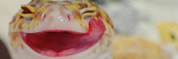 1vanessaz's profile banner image