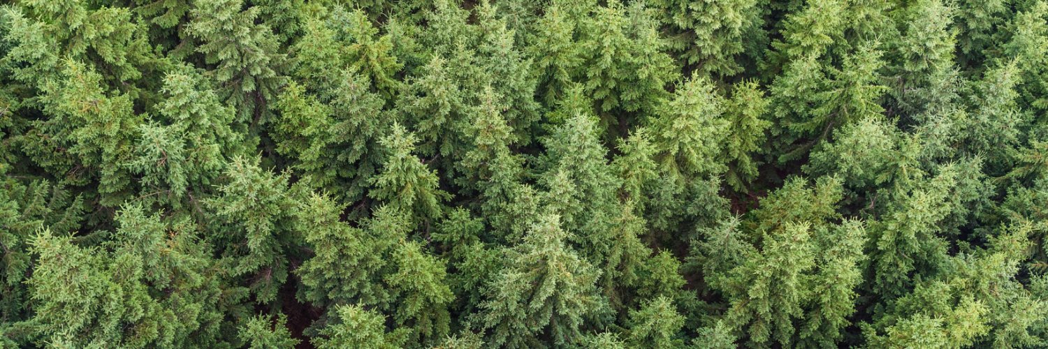 Małgorzata Chłopaś banner