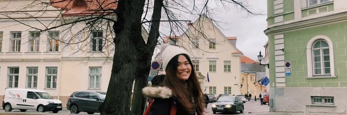 TwinklingTee's profile banner image