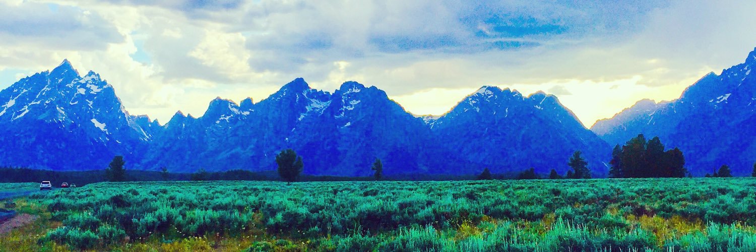 RebeccaOleneack's profile banner image