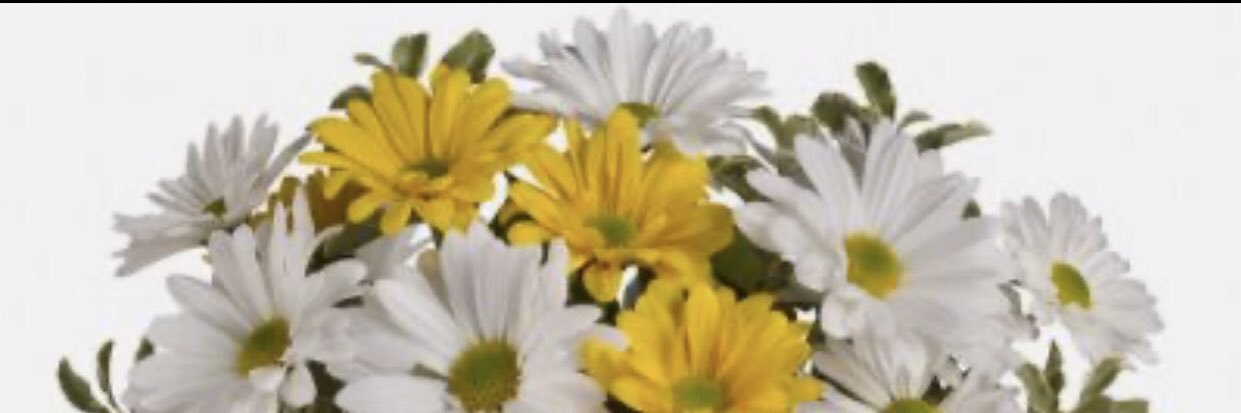prettiful24's profile banner image