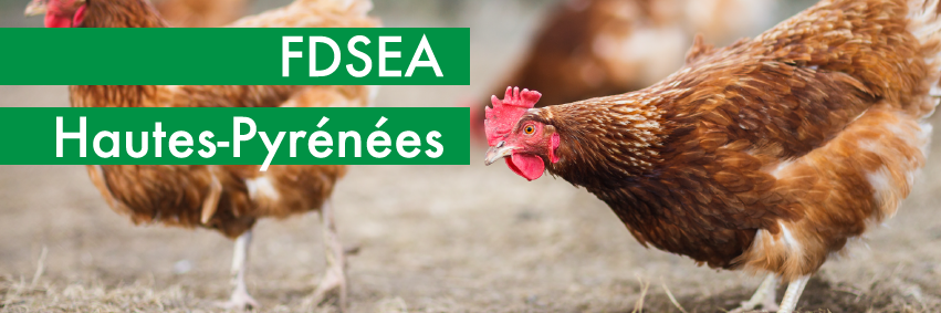 fdsea 65 banner