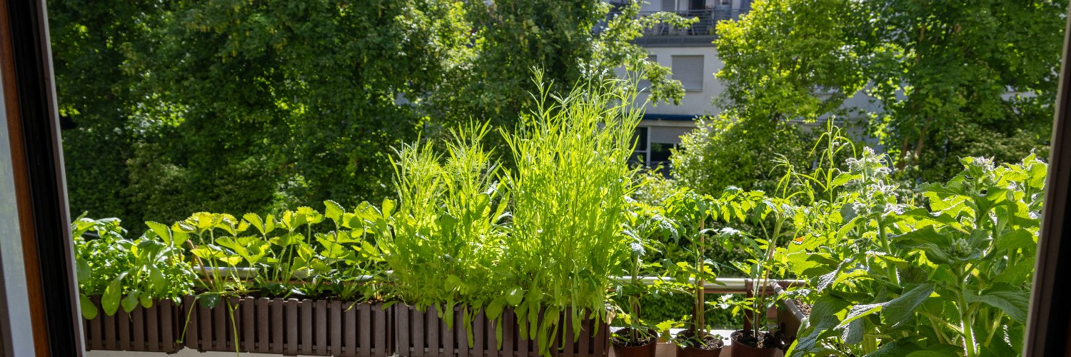 Racun 🫗🌼👨‍🌾 banner