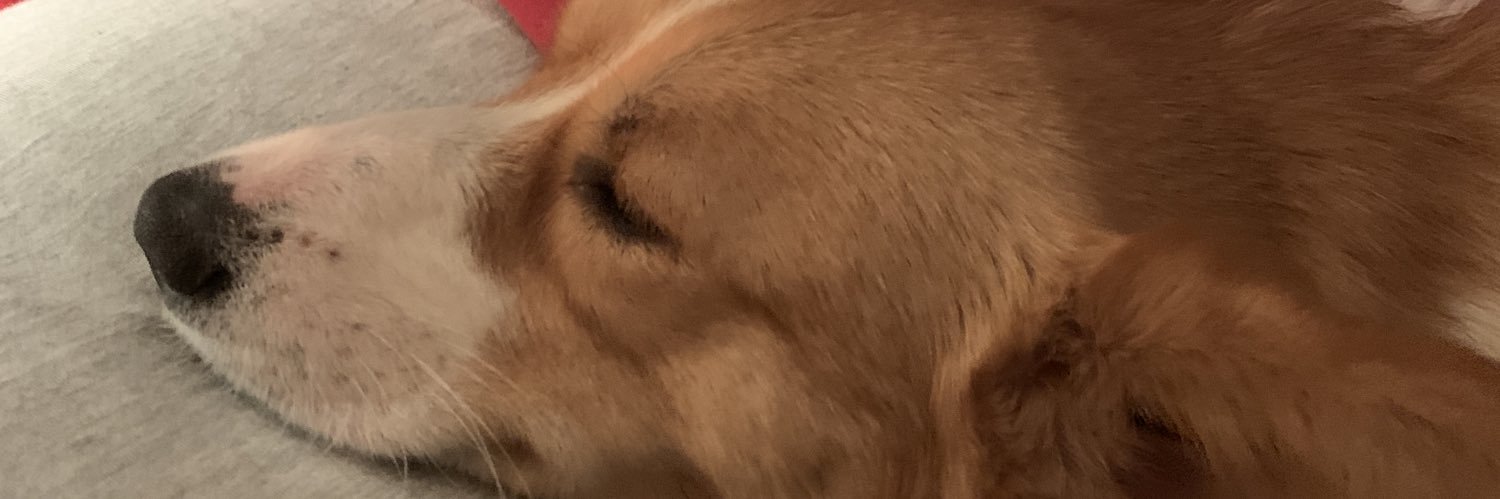 andyedstrom1's profile banner image