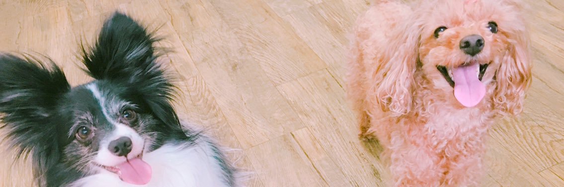 PODOMONG's profile banner image