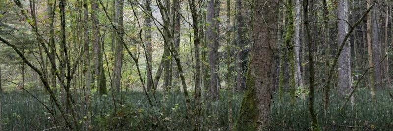 andrejacomet_ch's profile banner image
