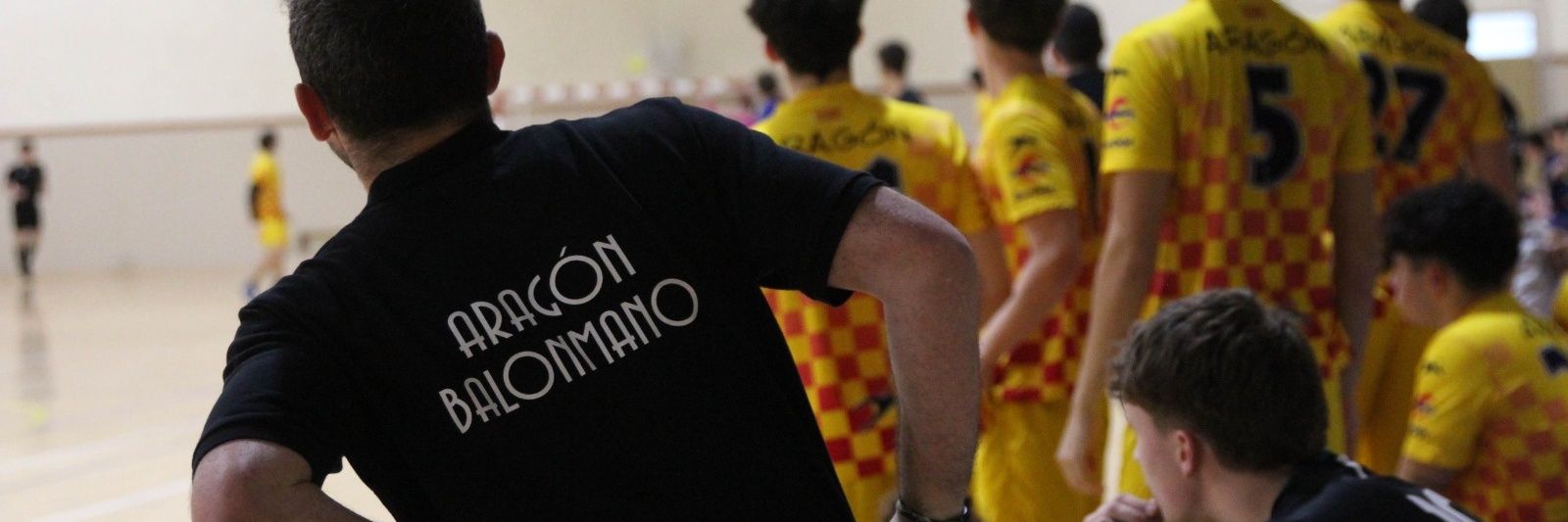 Fed. Aragonesa de Balonmano banner