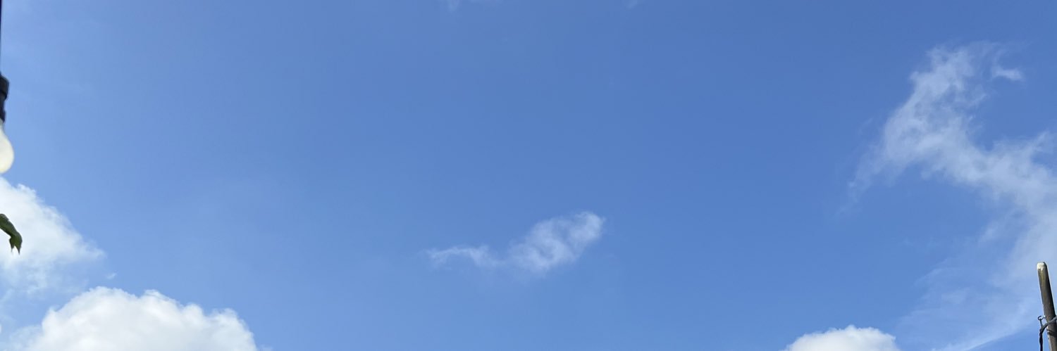 mira banner