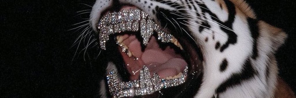 wet2wise's profile banner image