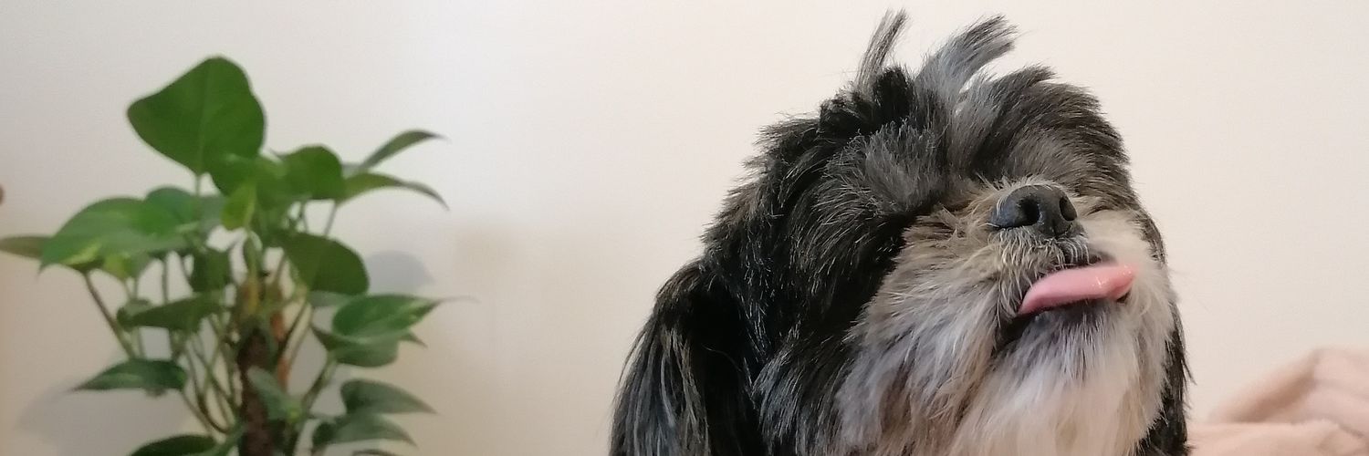 Poppy_Hackett's profile banner image