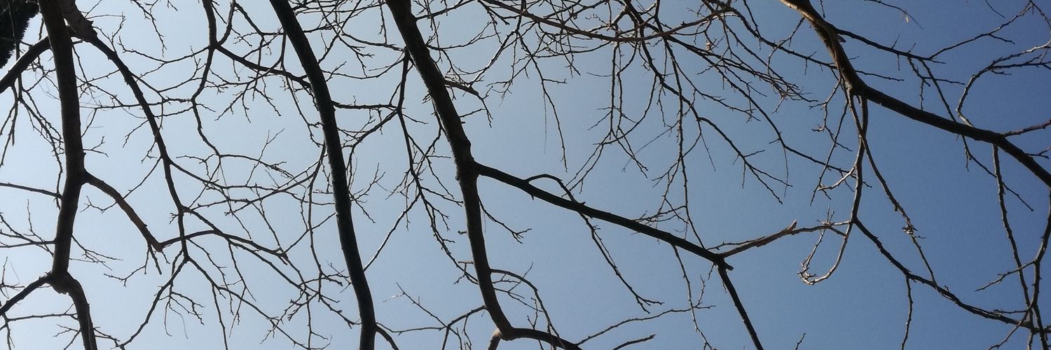 Henry Naranjo Pérez 🌫 banner