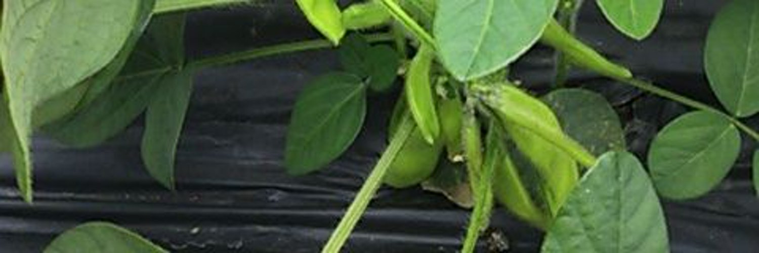 JanBorchardt's profile banner image