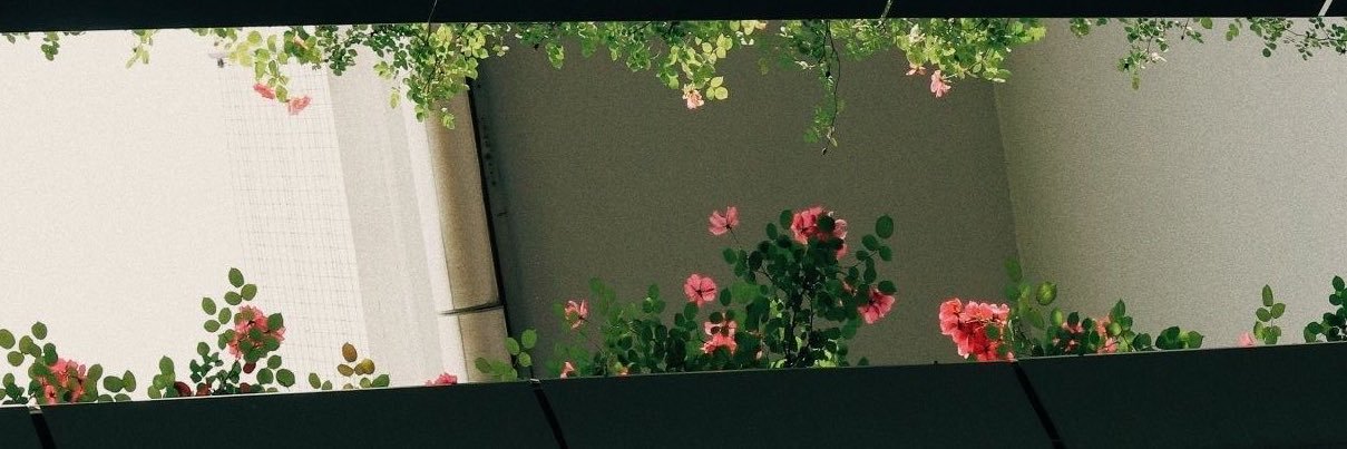 mnoor25m's profile banner image