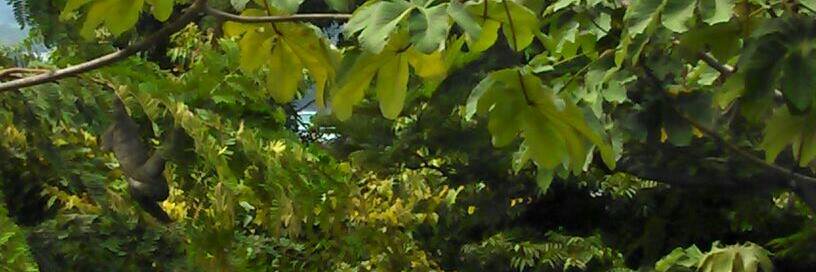 RRaulpm's profile banner image