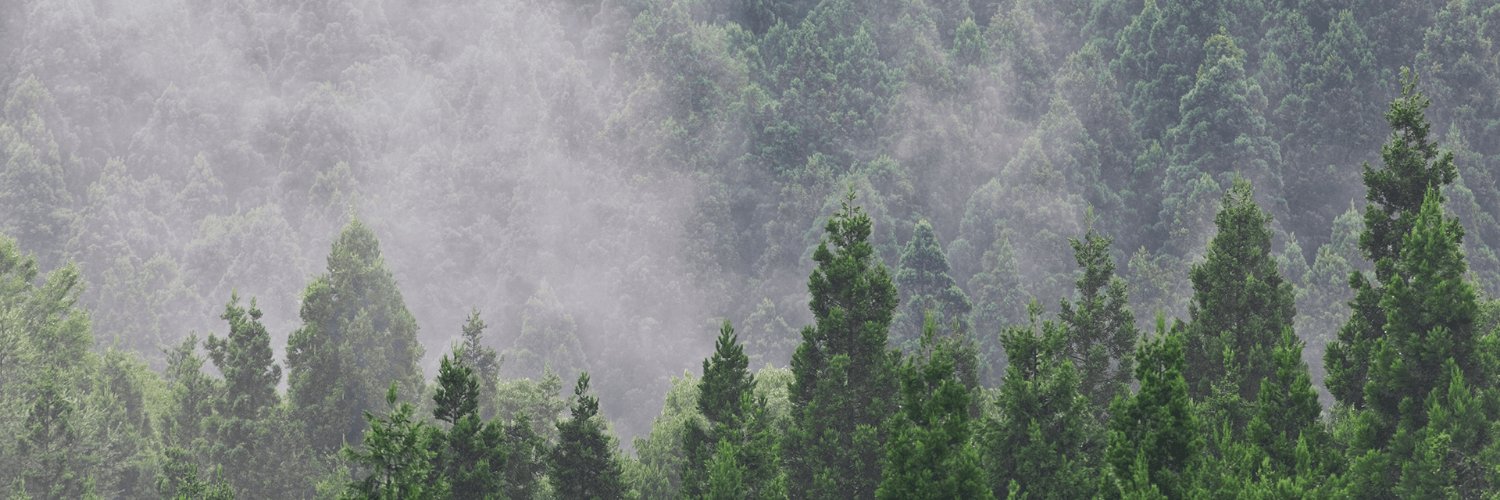 Библиотекарь banner