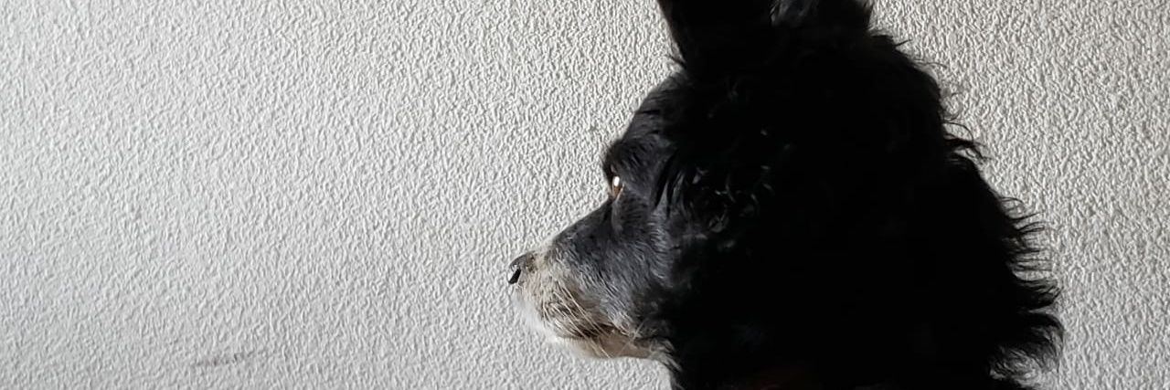 diegolarrondo1's profile banner image