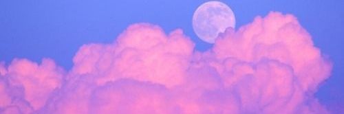 minmindays's profile banner image