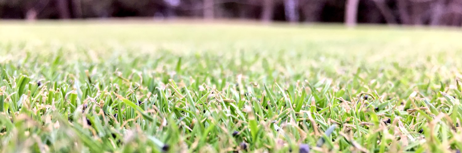 Dan_North_77's profile banner image