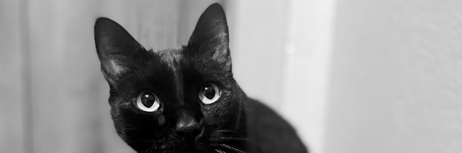 MishellSacoto's profile banner image