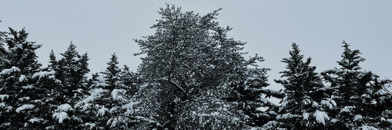 oncloud92_bitch's profile banner image