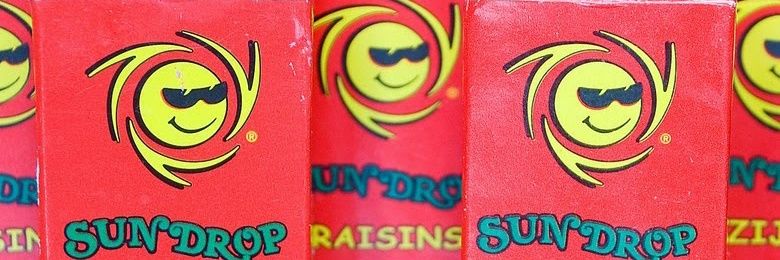 studio cesar majorana banner