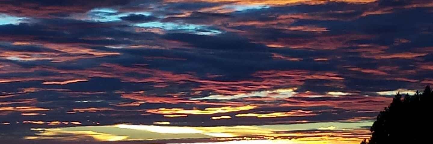 Darron E. Saunders banner