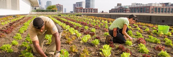 wikifarm Profile Banner