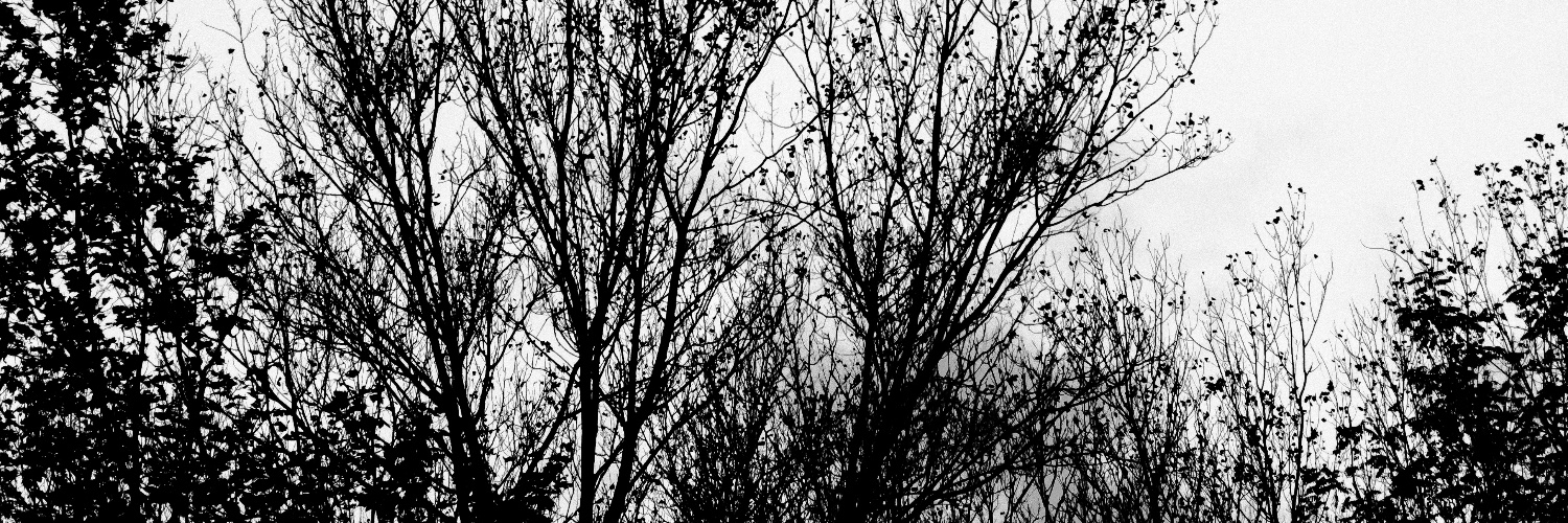 Sonia Troncoso banner