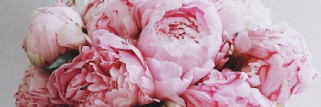 karinacediel15's profile banner image