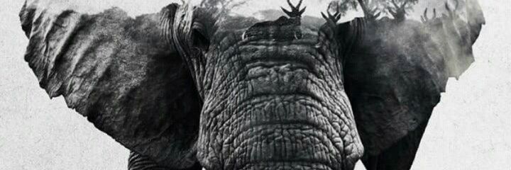 GaelTP21's profile banner image