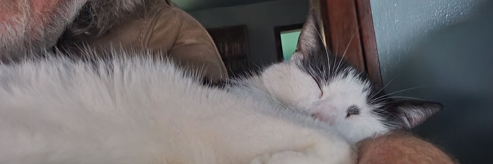 Rickthomas23's profile banner image