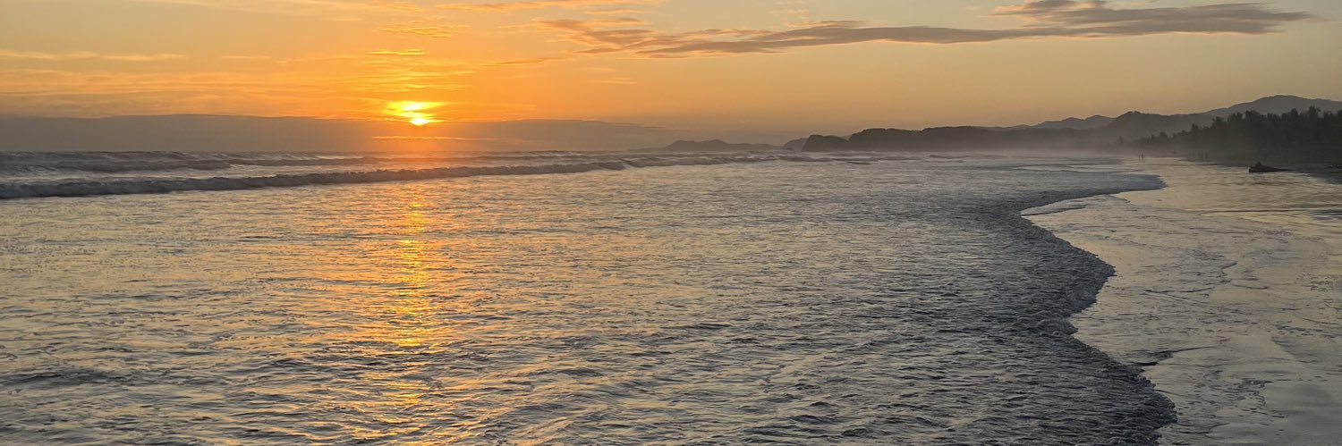 ploipy's profile banner image