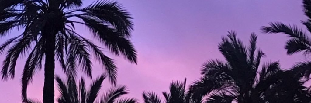 angelaagrc's profile banner image