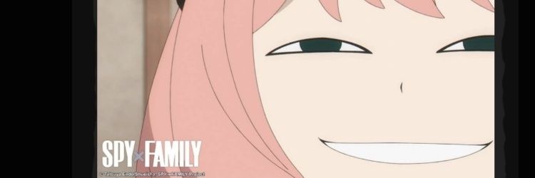 Nira banner