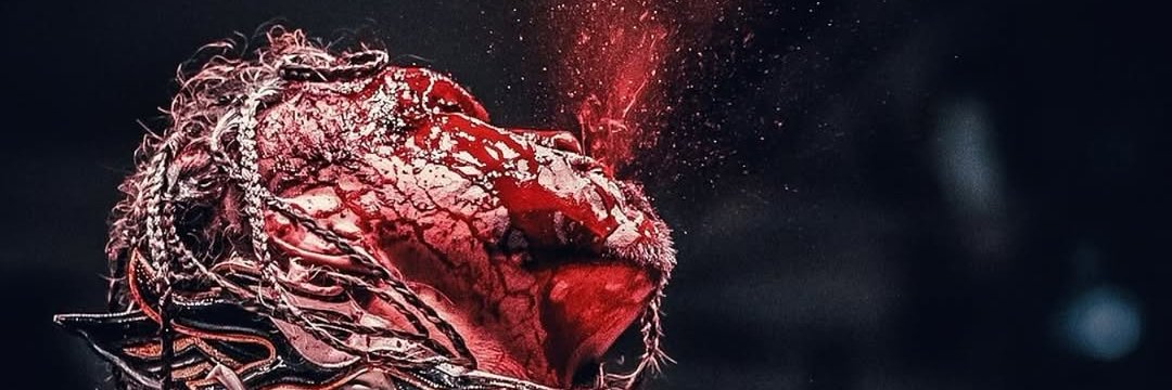 RobAngelini 🇵🇸 banner