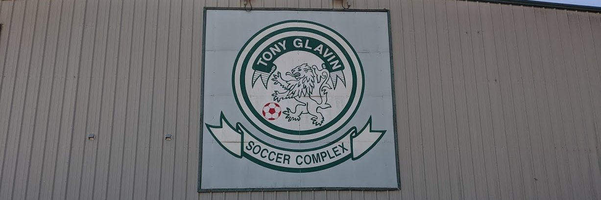 TG Lions Academy banner