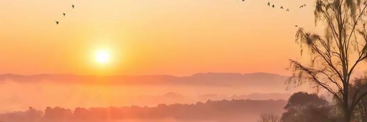 nancy46375's profile banner image