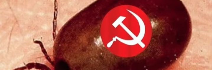 filippods68's profile banner image