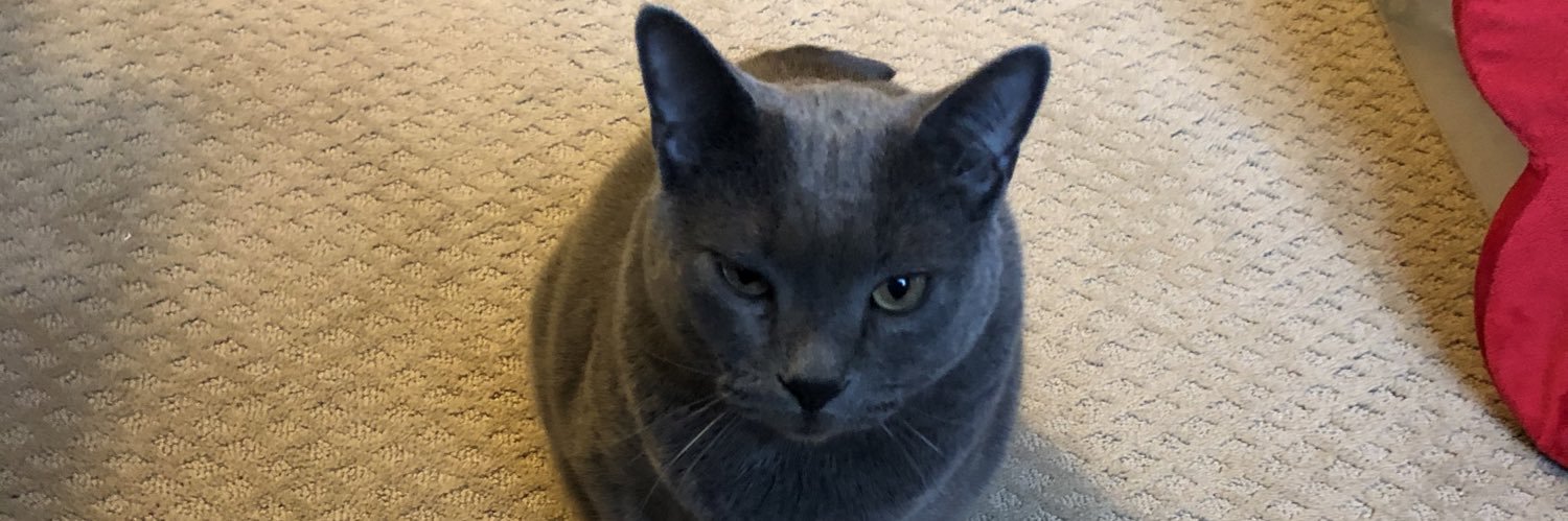 patjohnny's profile banner image