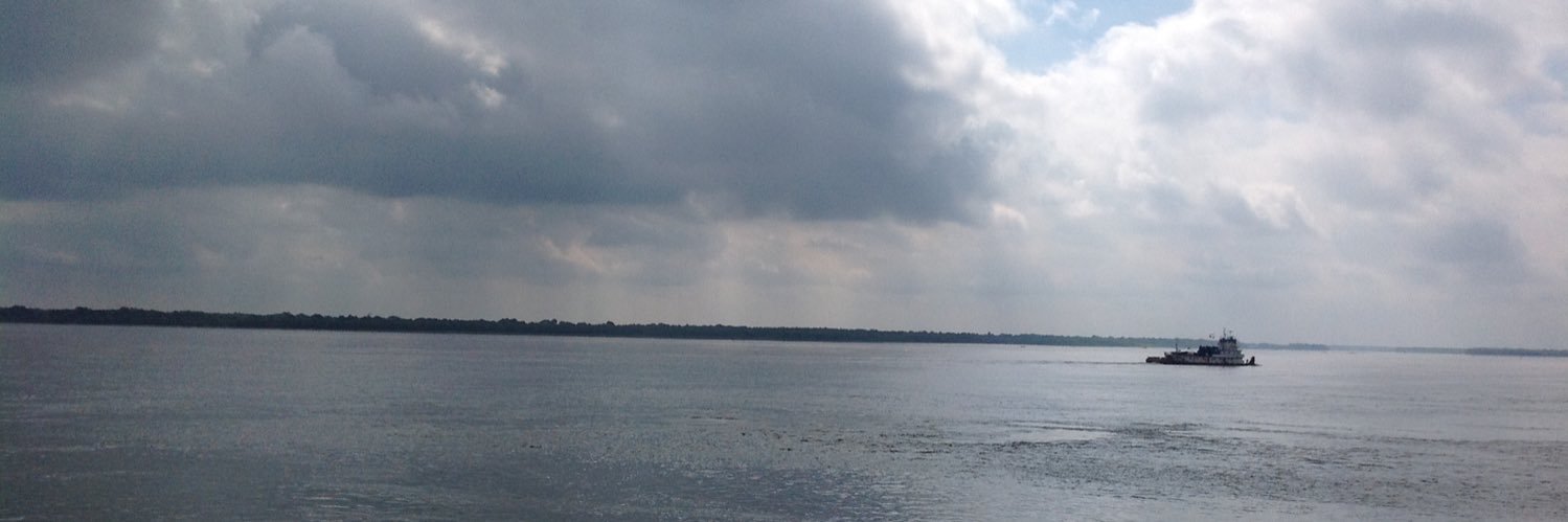 Susan   banner