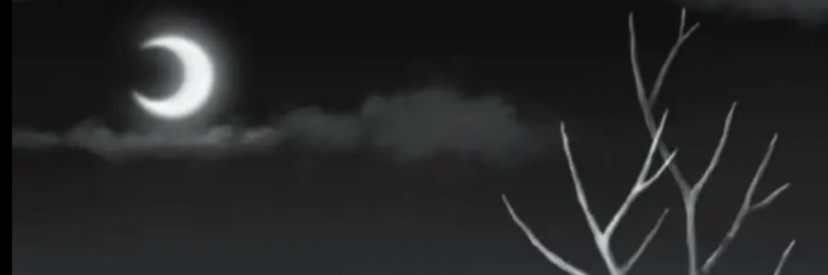 sellouttttt's profile banner image