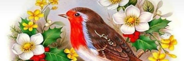 AlmazidM's profile banner image